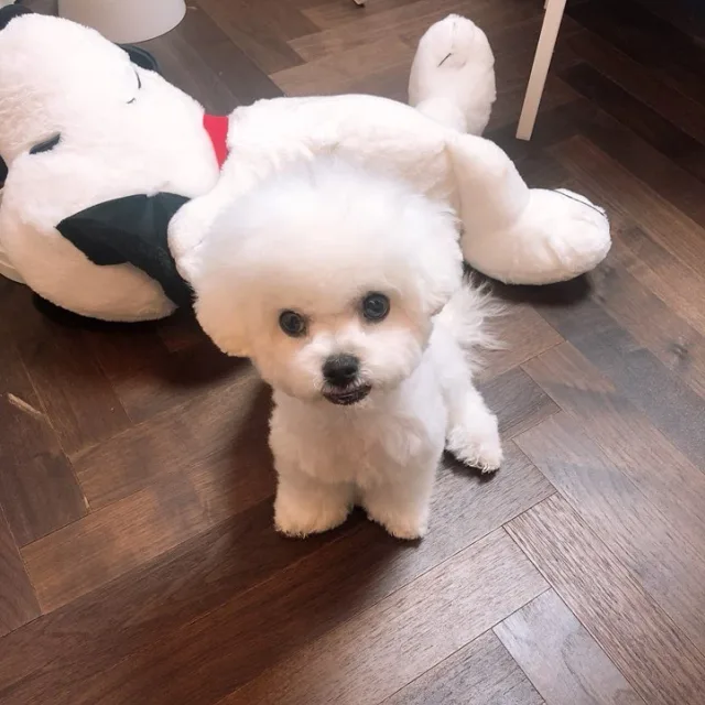마구질러