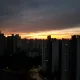 하기하기