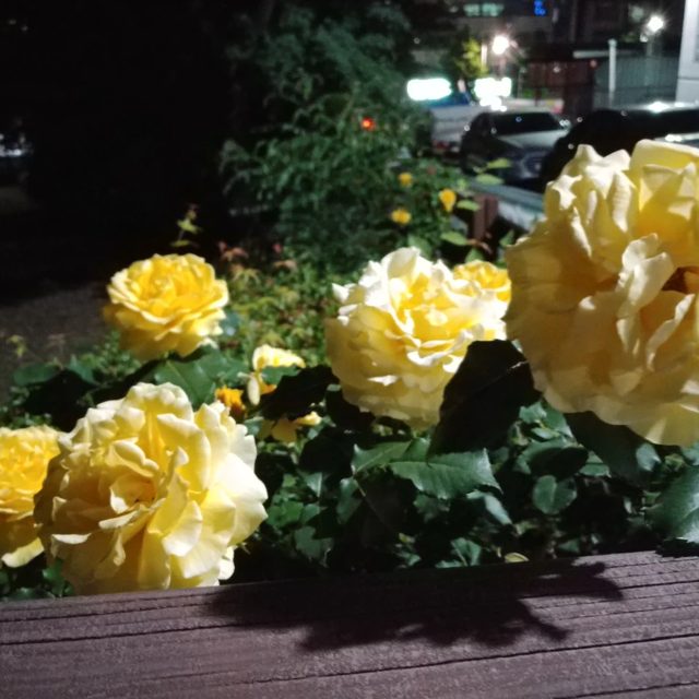 은하수별