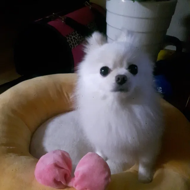 동해바다