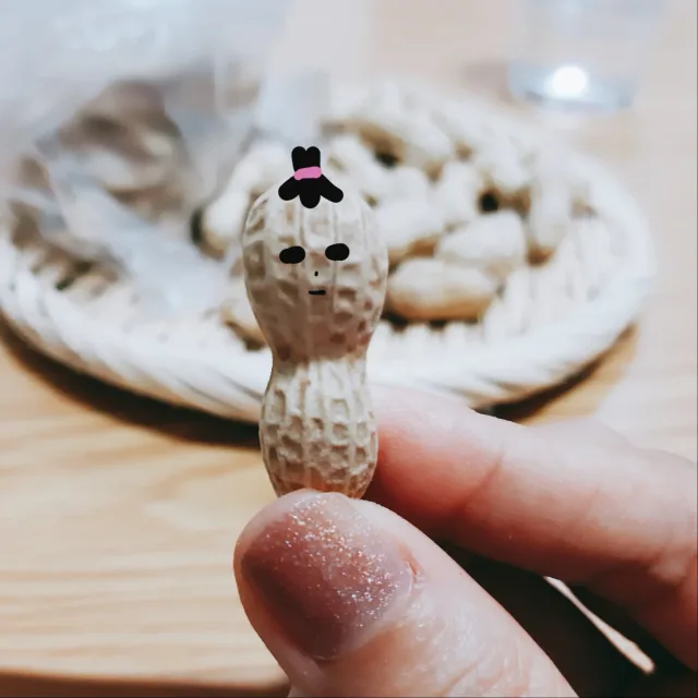 코기마켓