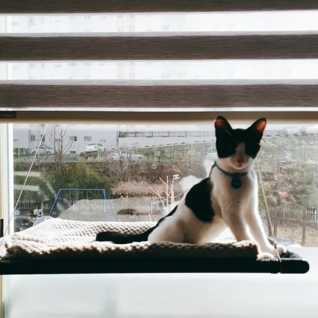 하늘날다