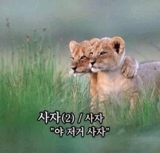 저거사자