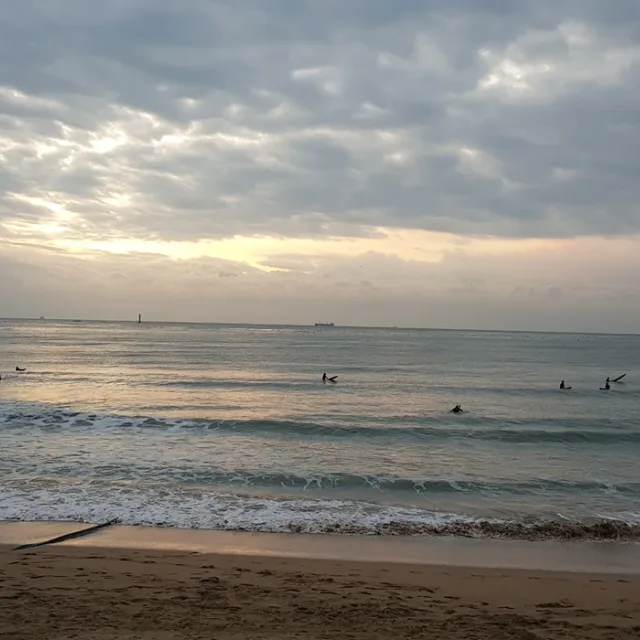 오회장