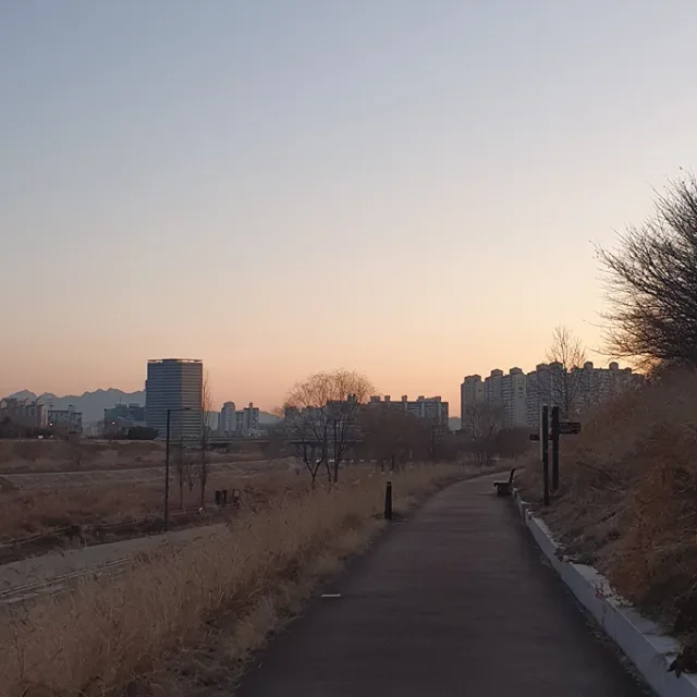 envysun