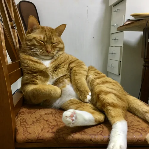 지놈