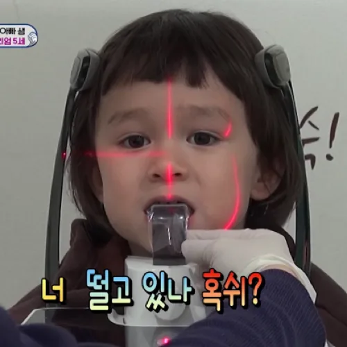 모해