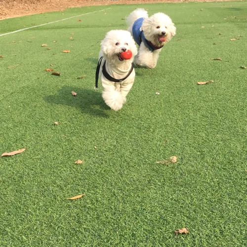 시황이누나