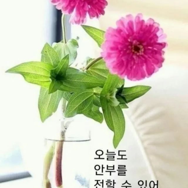 김정숙