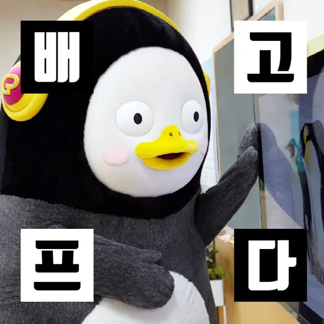 펭러뷰