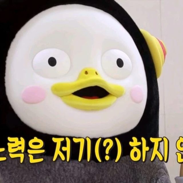 육지의사자