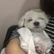 베뱁