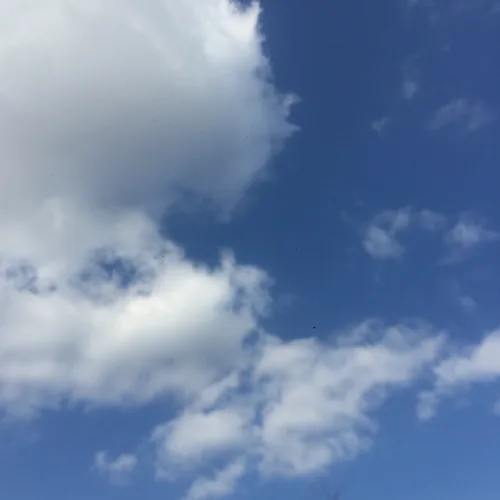룰루