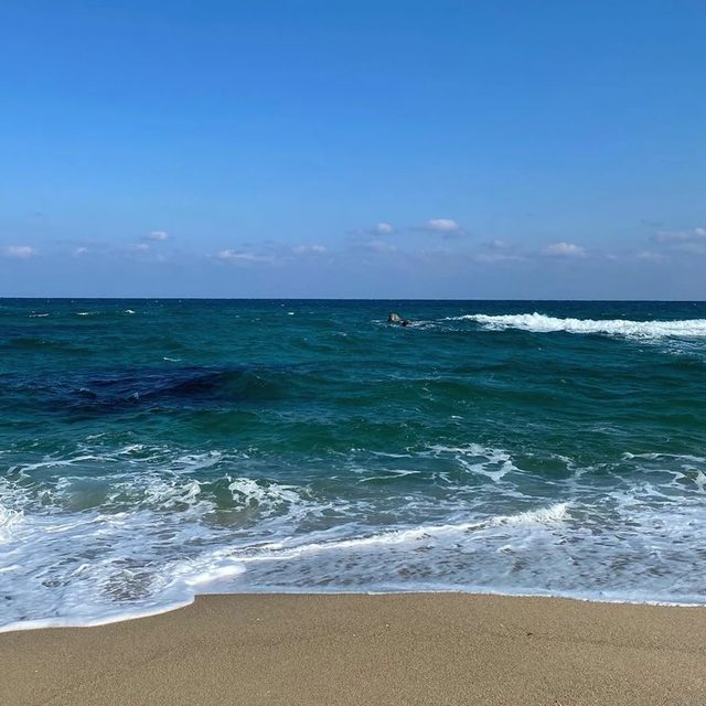 쉴래