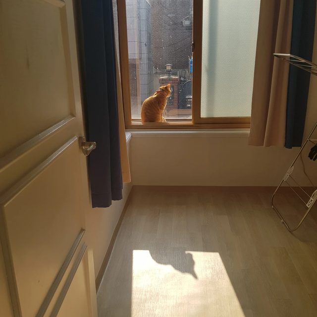 기쁨이엄마