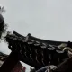 넙치