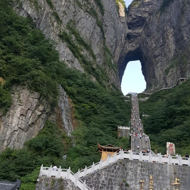 짱짱