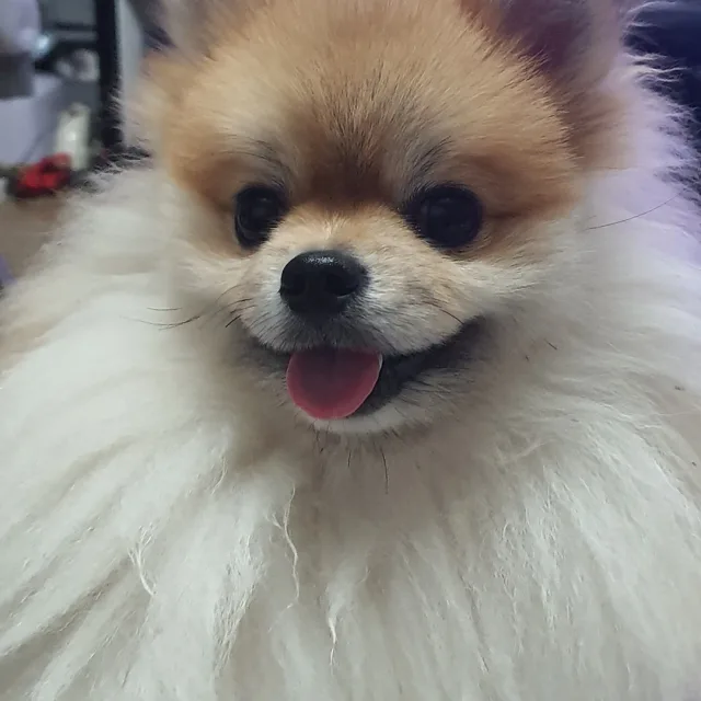 윤윤