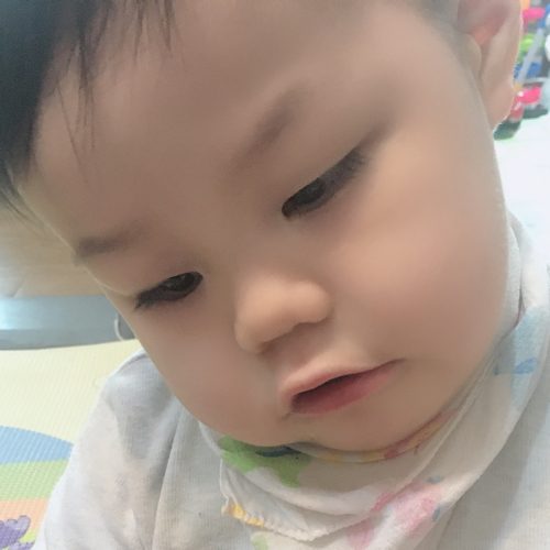 멕도리아