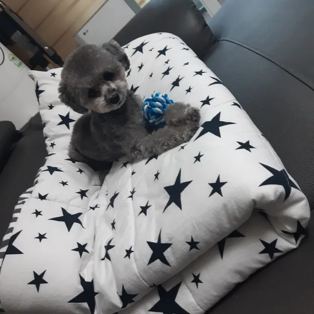 맘king