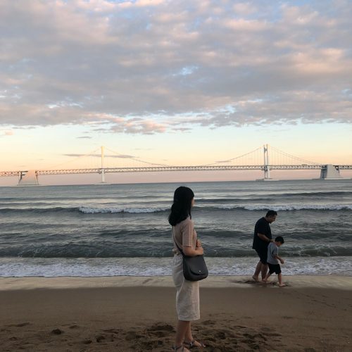 알로하