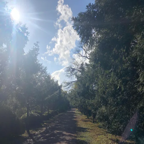 사계