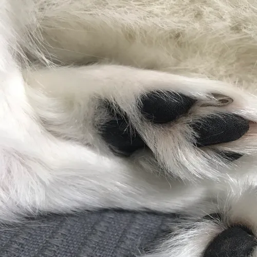 풍이둥이
