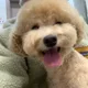 만두