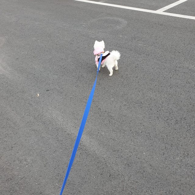 윤이