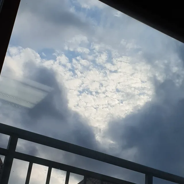 꽁꽁