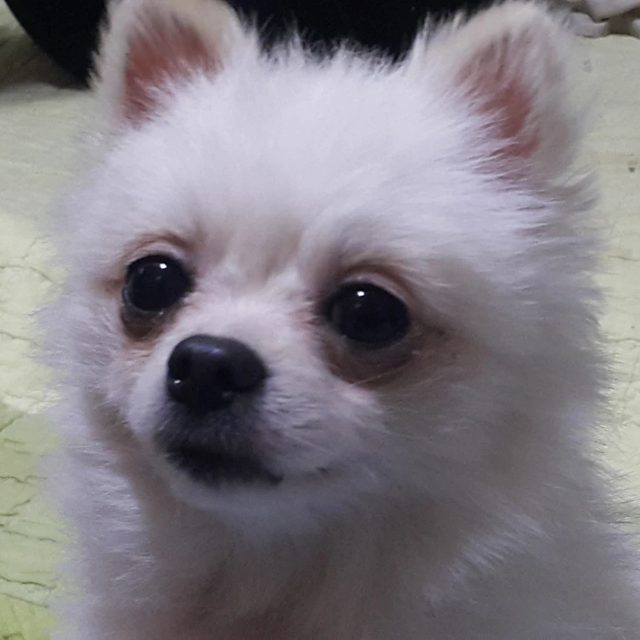 깜상