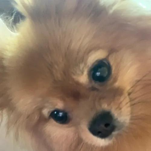 심쿵씨네