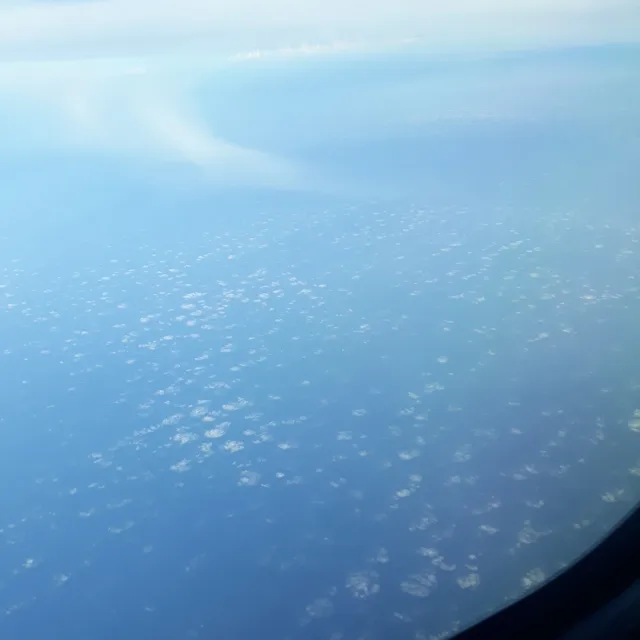 복나라월드