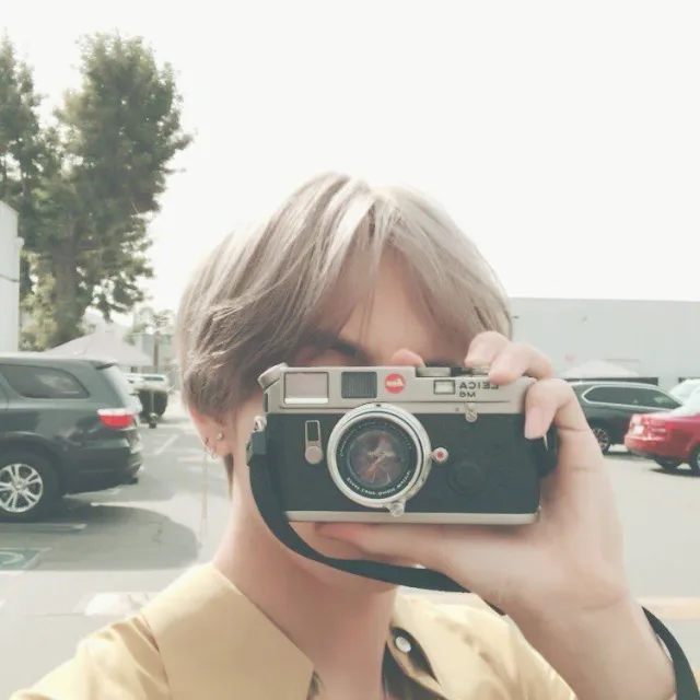효비
