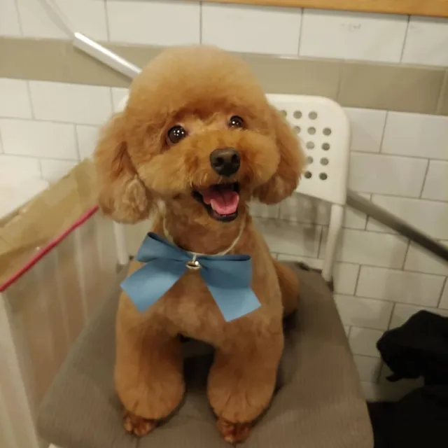 루디Ss