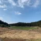 프리라히하