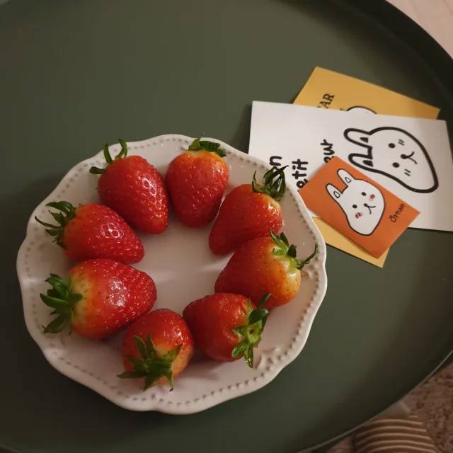 연어샐럽