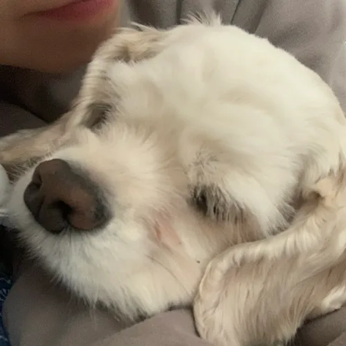 코코넨네