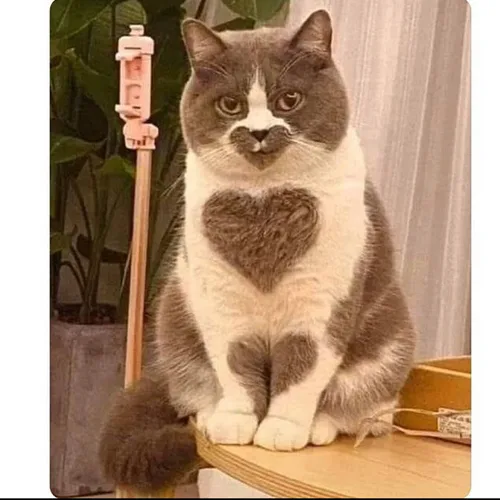 혜인