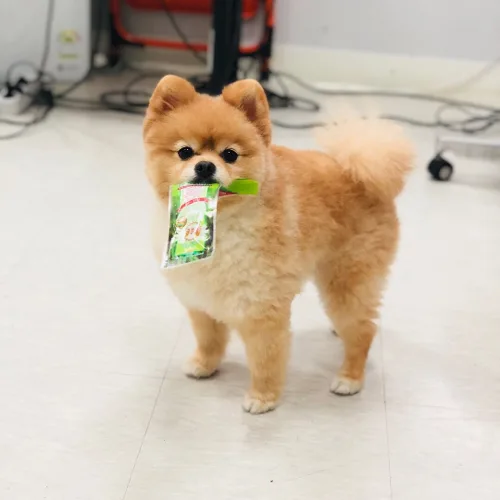 맑음5