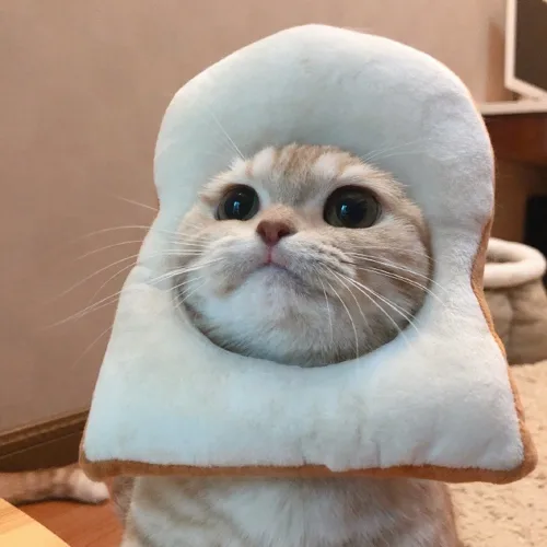 빈칸