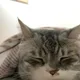 당이누나