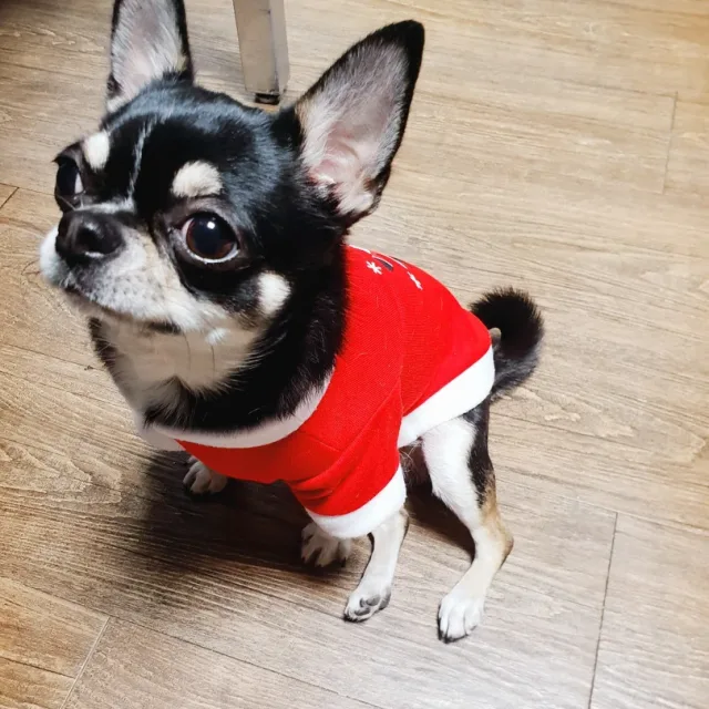 영심땡