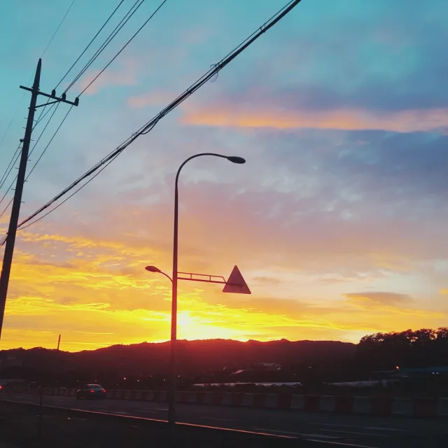 도토리