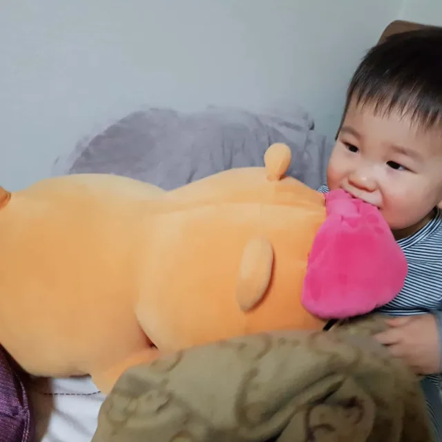 김뽀