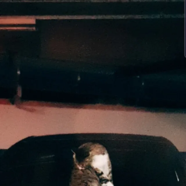 두두