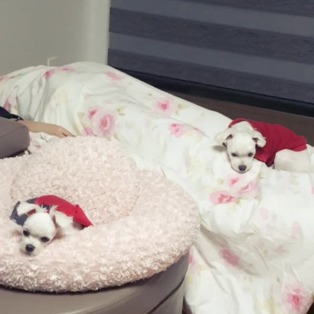행복한참나