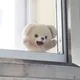 얏호