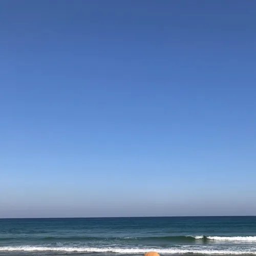 우장산숲세권