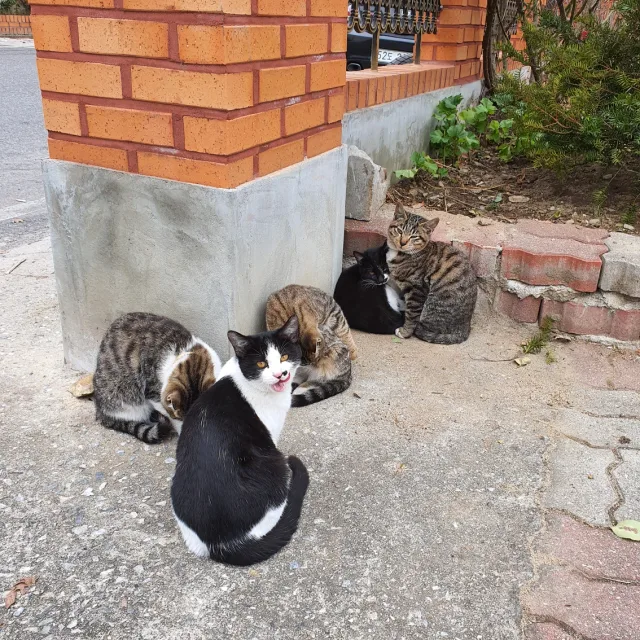 효이